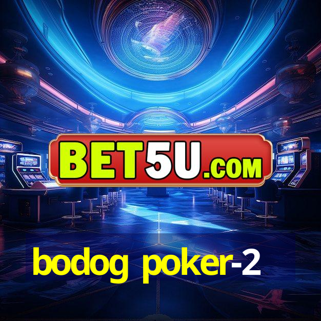 bodog poker